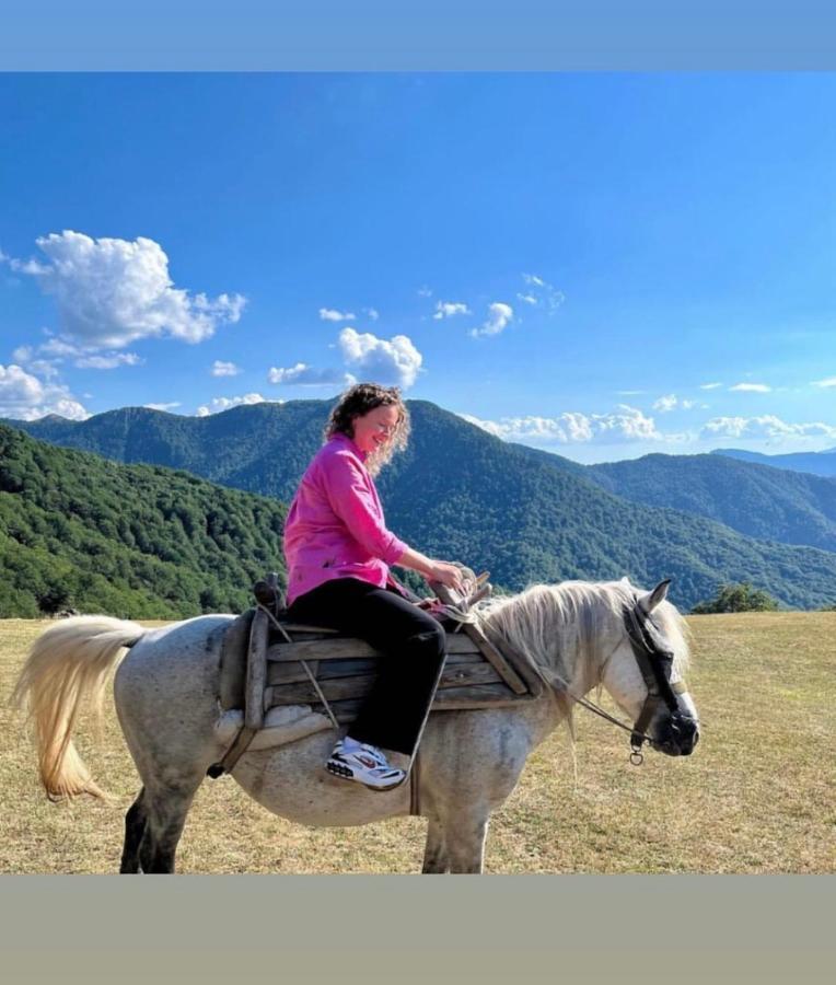 Katun Lanista-Kolibe Bogavac Villa โมจโคแวก ภายนอก รูปภาพ